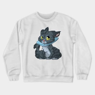 Cat in cone Crewneck Sweatshirt